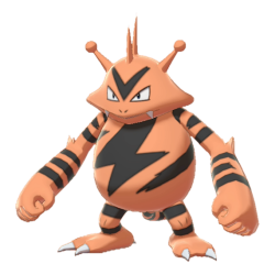 #125 Electabuzz(DLC 2)